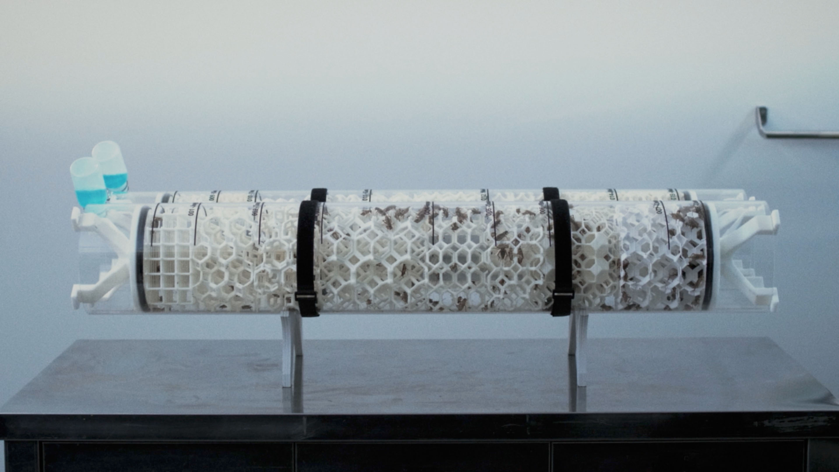 Design Challenge to Food Crisis / For a Quality Nutritious SocietyENTOMFARM