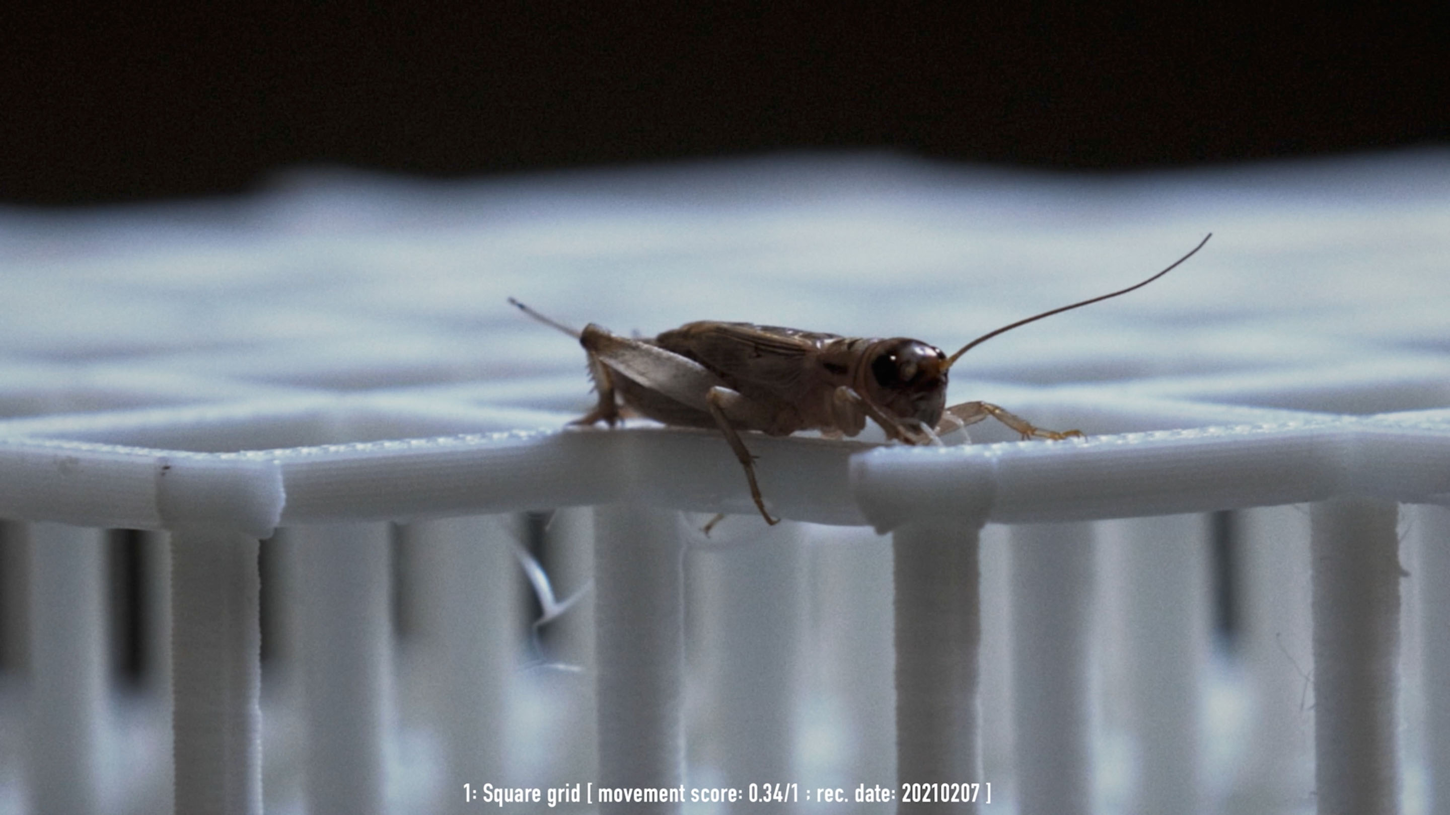 Design Challenge to Food Crisis / For a Quality Nutritious SocietyENTOMFARM