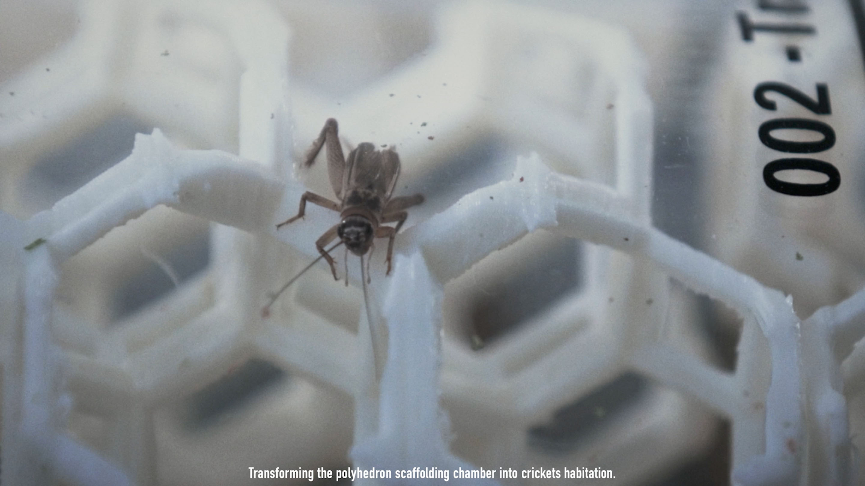 Design Challenge to Food Crisis / For a Quality Nutritious SocietyENTOMFARM