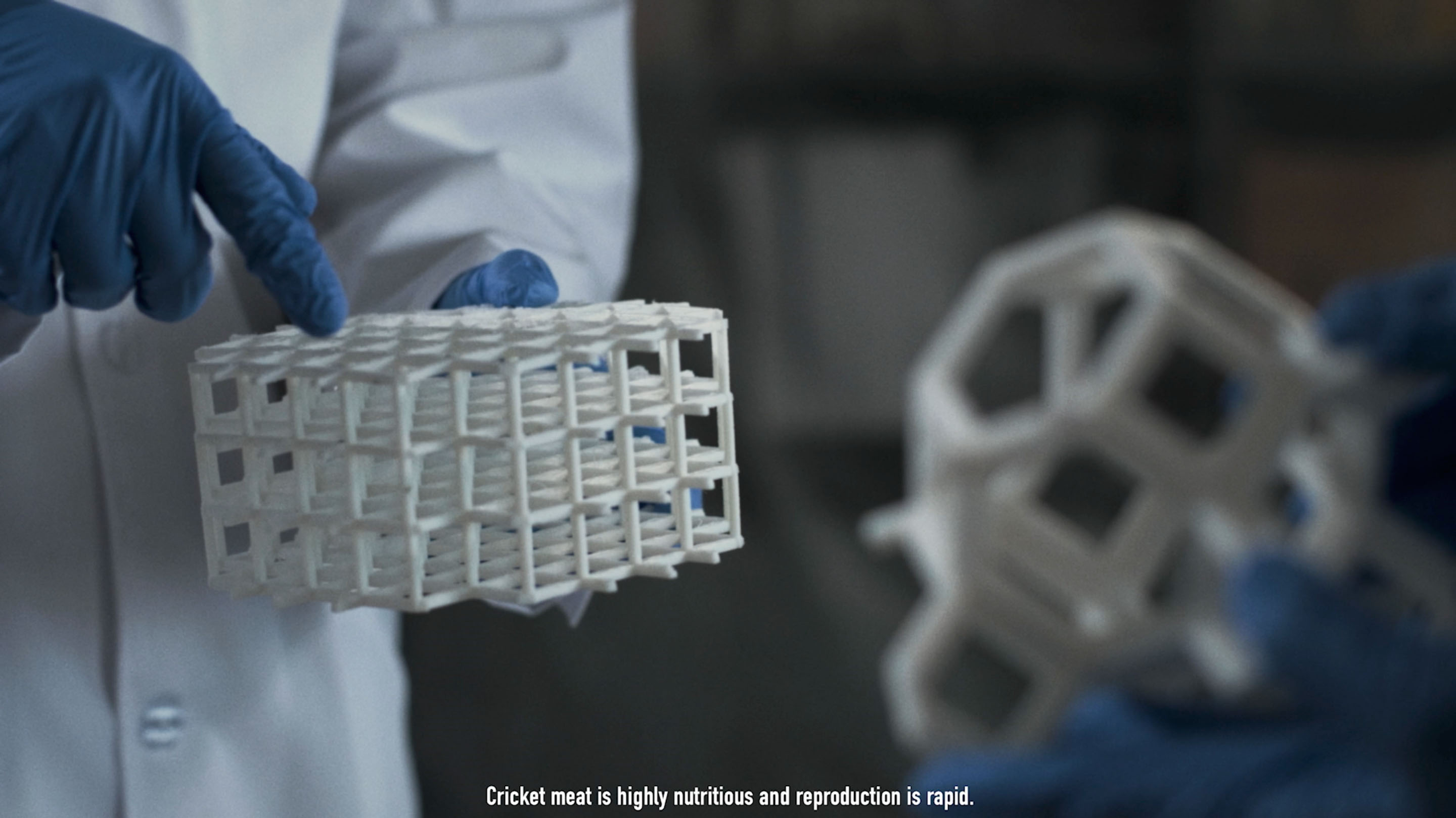 Design Challenge to Food Crisis / For a Quality Nutritious SocietyENTOMFARM