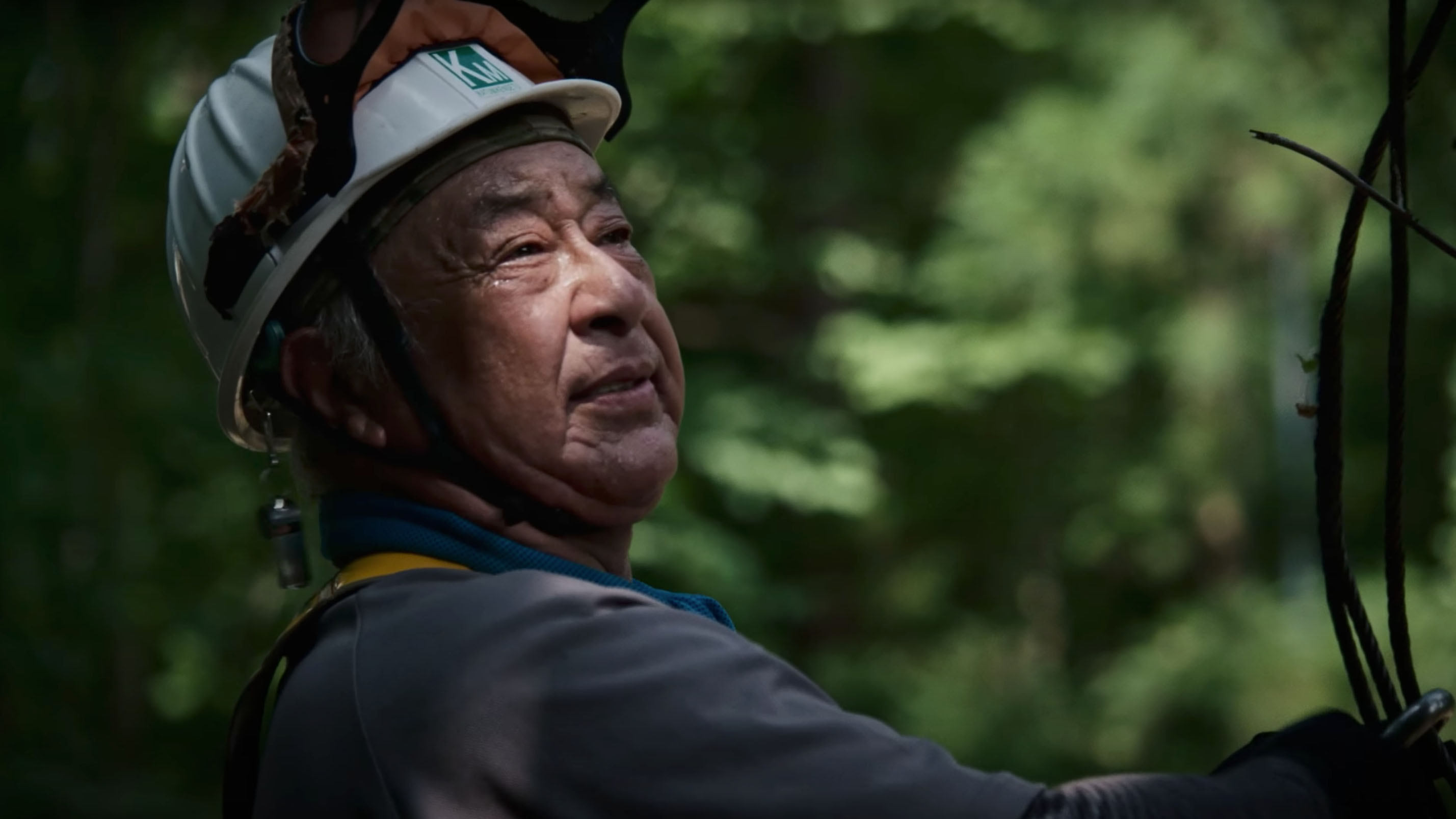 鉄道林の活用がつなぐ思い