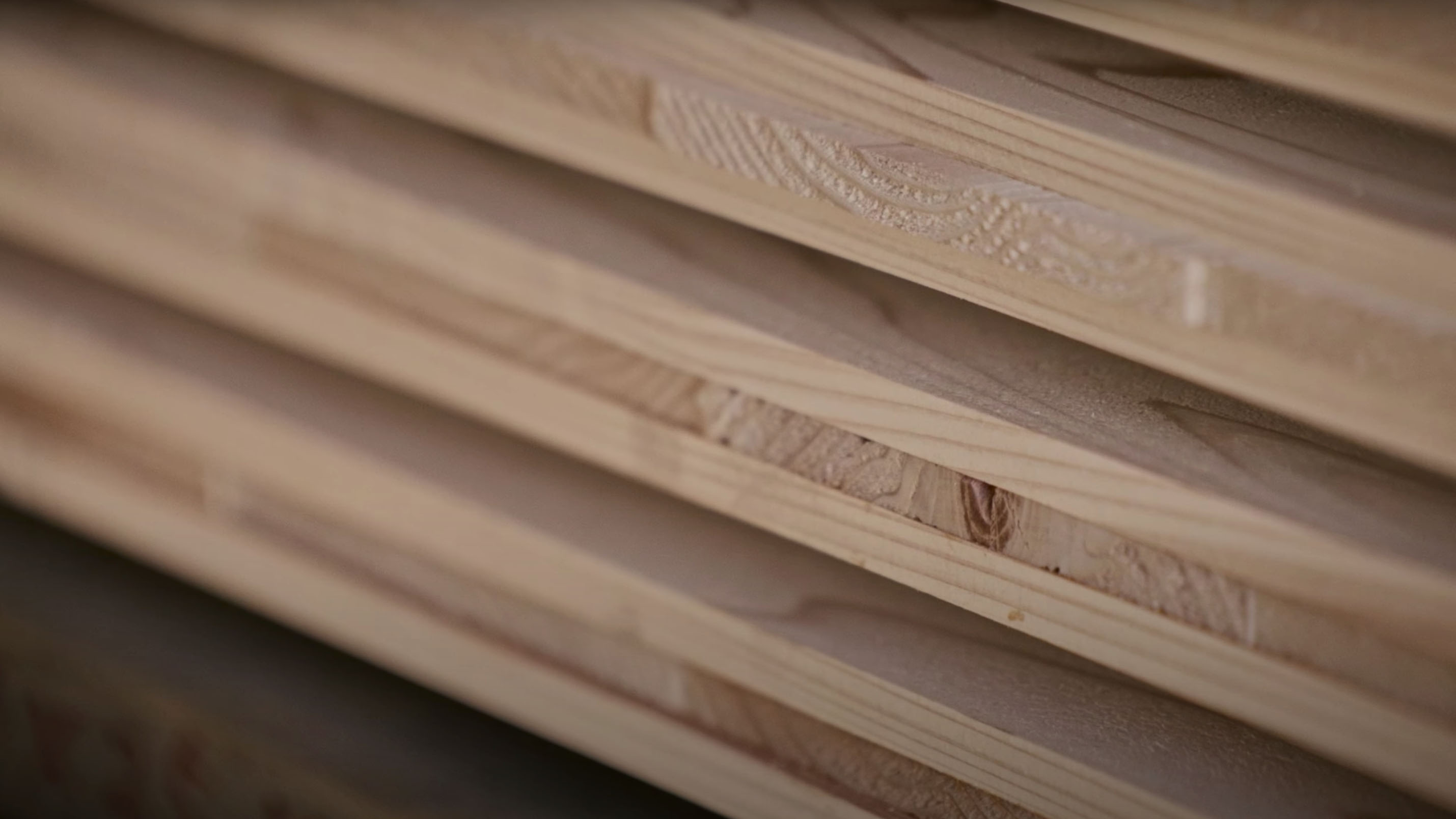 鉄道林の活用がつなぐ思い