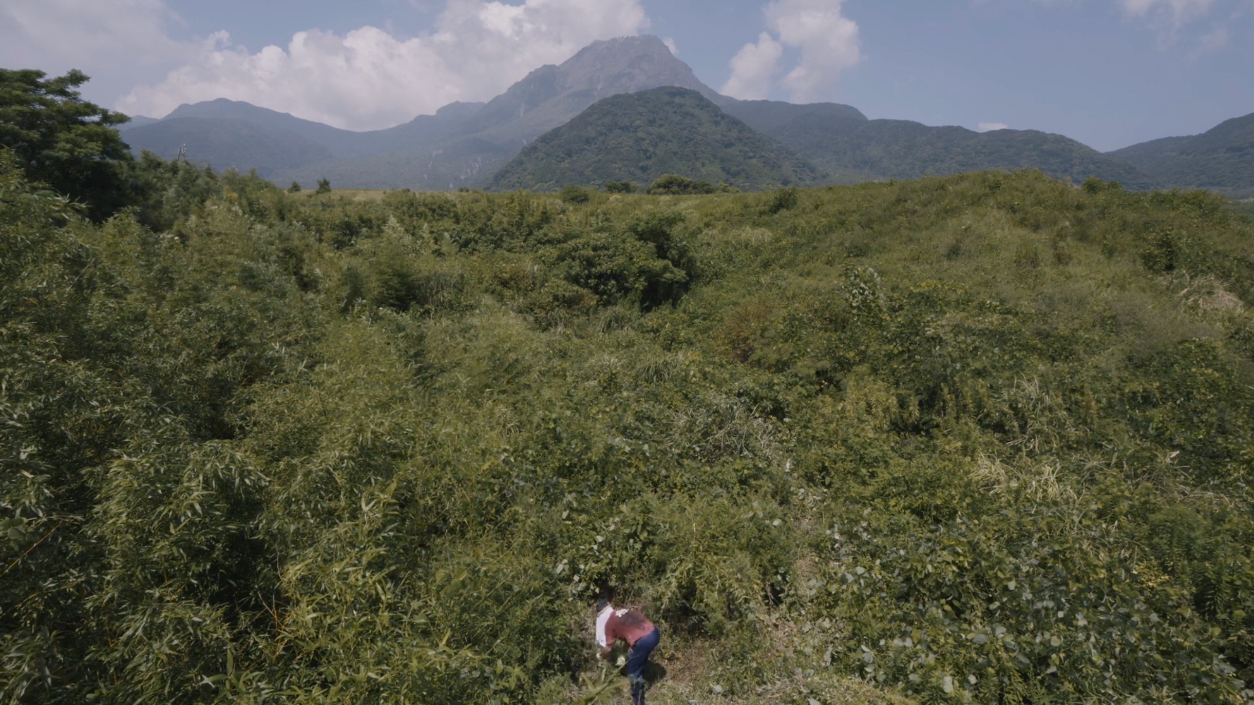 武蔵野美術大学 美術館・図書館「大浦一志—雲仙普賢岳/記憶の地層」<i>Kazushi Ooura: Mt. Unzen Fugen / Strata of Memory</i> Musashino Art University Museum & Library