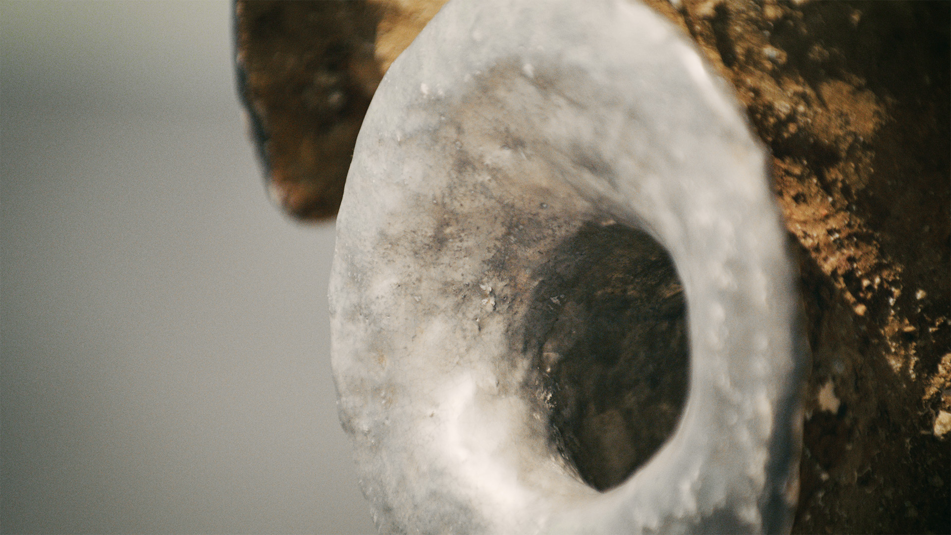 西條茜《Phantom Body》<i>Phantom Body</i> Akane Saijo