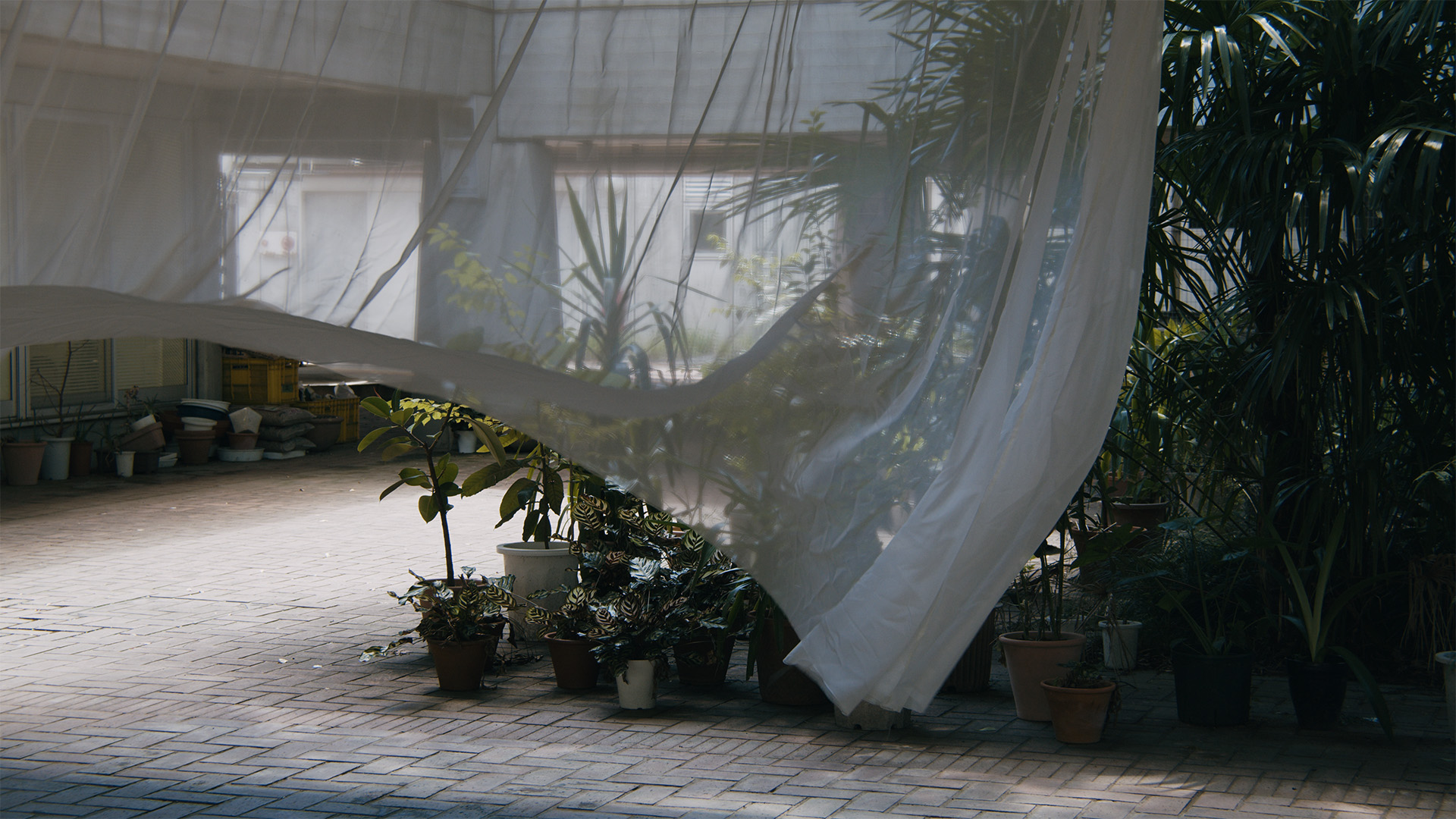 武蔵野美術大学 OPEN CAMPUS 2024OPEN CAMPUS 2024, Musashino Art University